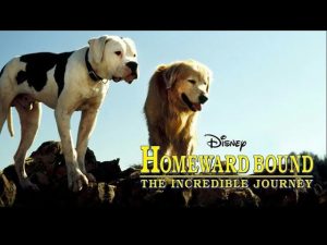 Celebrate National Dog Week - Homeward Bound The Incredible Journey -Best Dog Movie