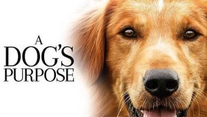 Celebrate National Dog Week - A Dog’s Purpose Best Movie