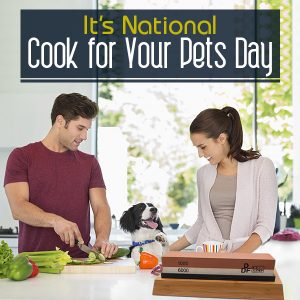 National Cook for Your Pet Day 