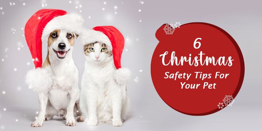 Christmas Safety Tips For Your Pet