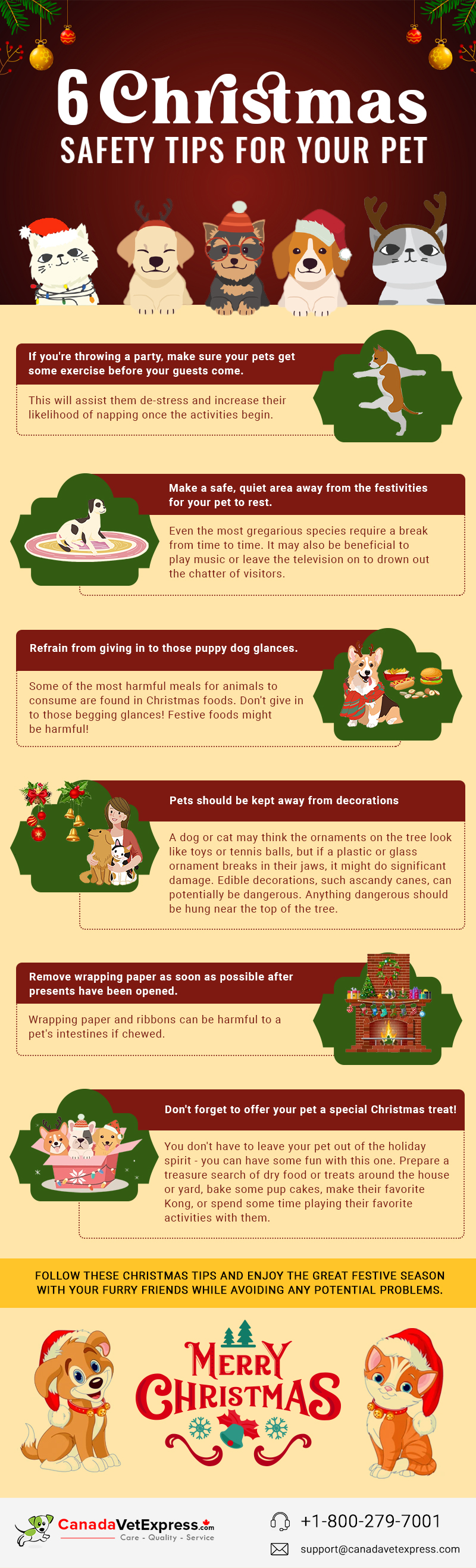 Six-Christmas-Safety-Tips-For-Your-Pet