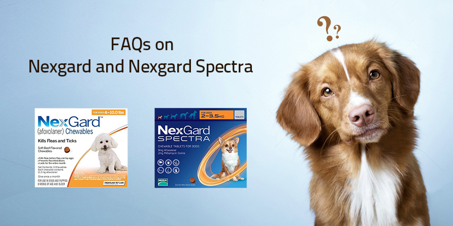 FAQs-on-Nexgard-and-Nexgard-Spectra-CanadaVetexpress