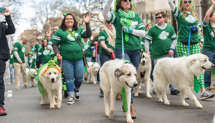 Join a St. Patrick’s Day parade
