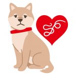 Heartworm treatments-CanadaVetexpress
