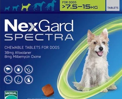 Nexgard Spectra Chewable Tablets for Medium Dogs (Green)