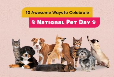 National-Pet-Care-Day-CanadaVetExpress