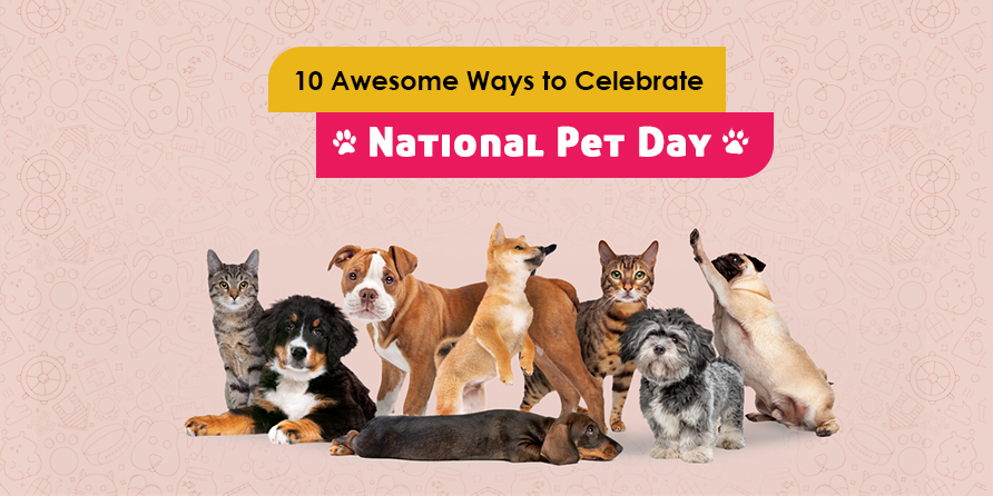 National-Pet-Care-Day-CanadaVetExpress