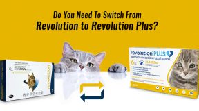 Switch From Revolution To Revolution Plus