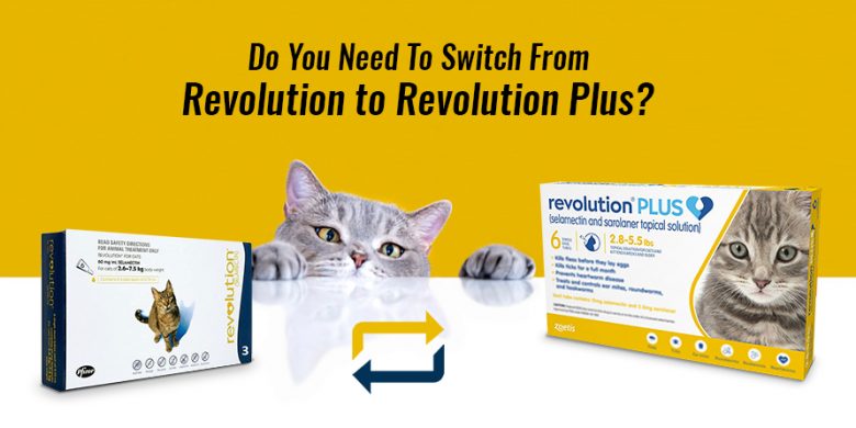 do-you-need-to-switch-from-revolution-to-revolution-plus