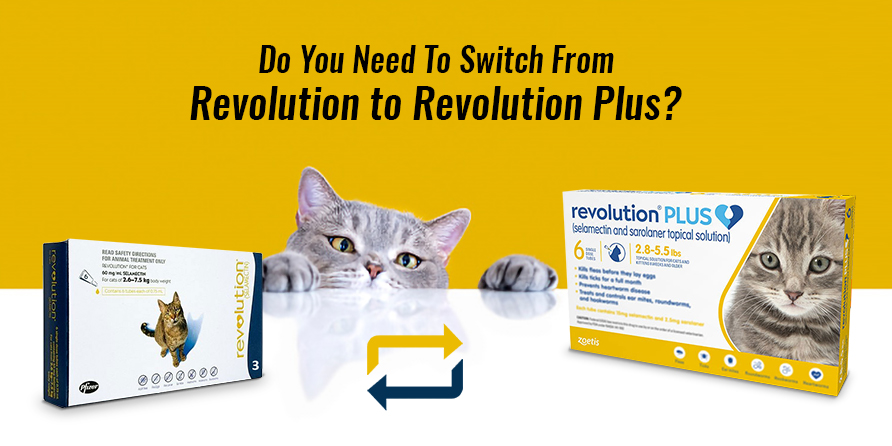 Do You Need To Switch From Revolution To Revolution Plus?