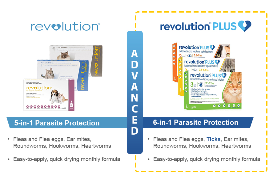 Revolution plus for Cats -Canadavetexpress