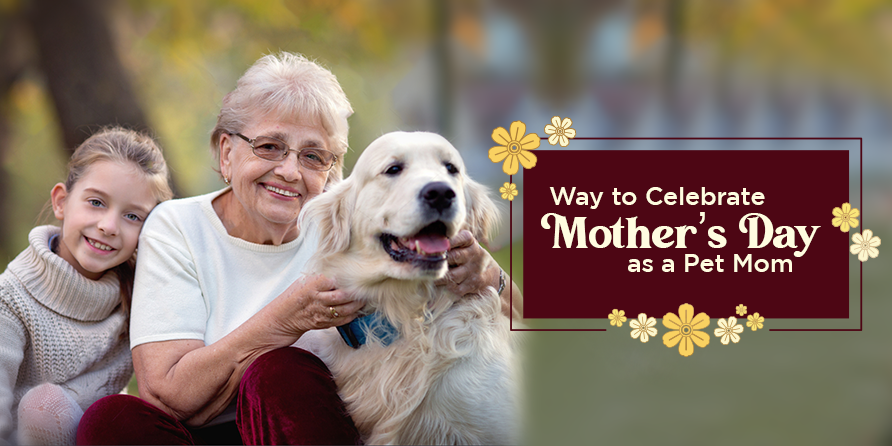 Ways to Celebrate Mother's Day As a Pet Mom
