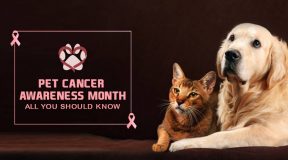 Pet Cancer Awareness Month