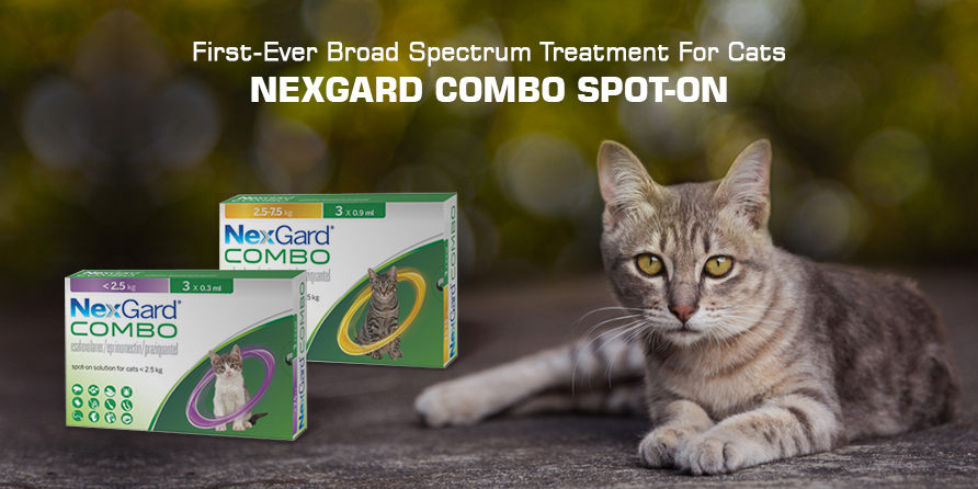 First-Ever Broad Spectrum Treatment For Cats: Nexgard Combo Spot-On