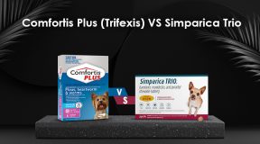 Trifexis vs Simparica Trio