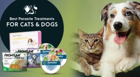 alt= " Best Parasite Treatments for Cats & Dogs"