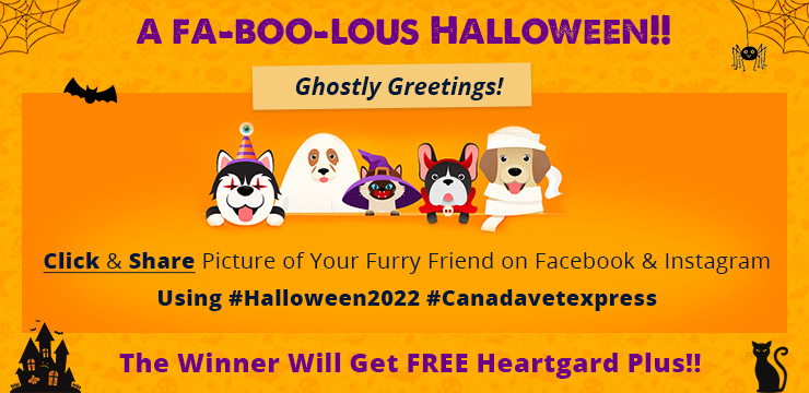 Halloween Competition 2022 - Win free Gifts!