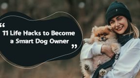 smart dog owner life hacks
