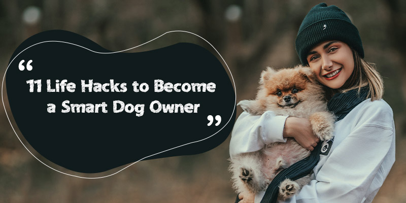 11 Life Hacks to Become a Smart Dog Owner