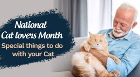 National Cat Month