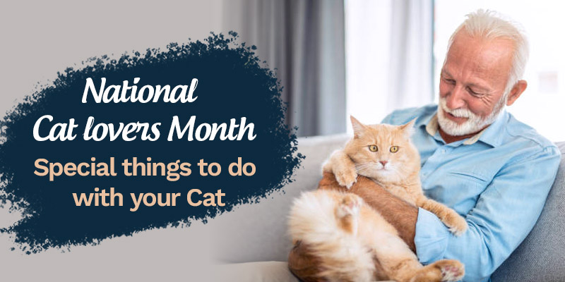 National cat lovers month: Special things to do with your Cat