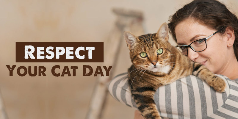 Respect Your Cat Day