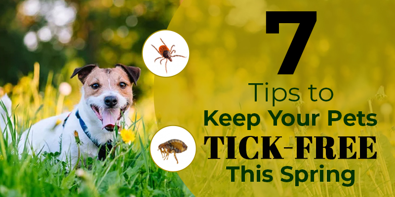 7 Tips to Keep Your Pets Tick-Free this Spring