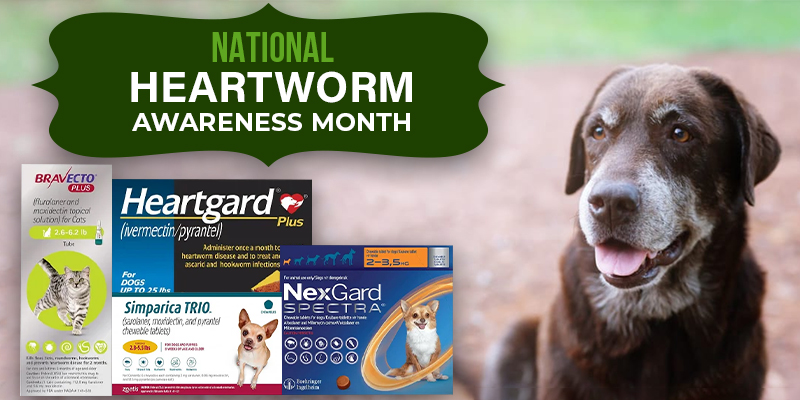 National-Heartworm-Awareness-Month