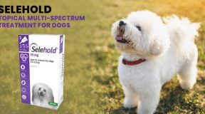 Selehold-Topical-Multi-Spectrum-Treatment