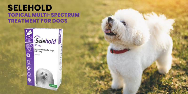 Selehold - Topical Multi-Spectrum Treatment for Dogs