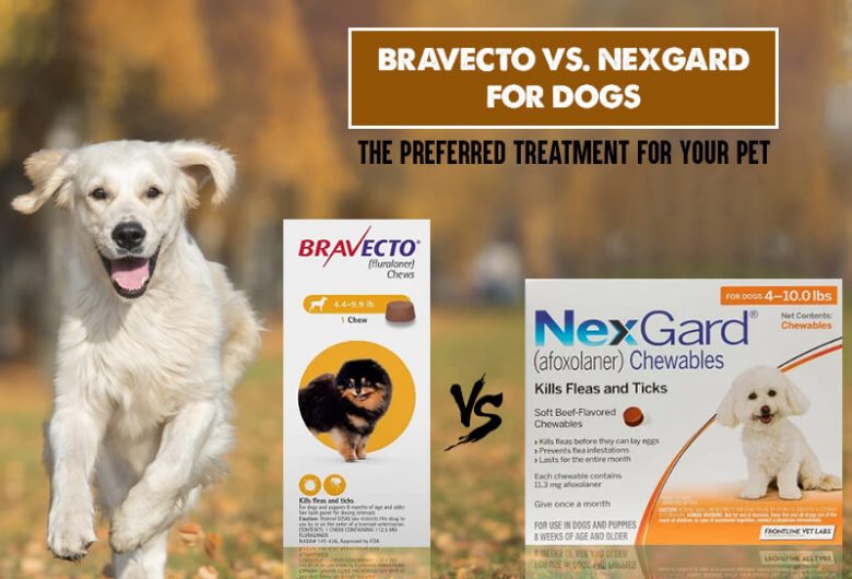 bravecto-vs-nexgard-for-dogs-the-preferred-treatment-for-your-pet