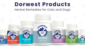 dorwest_products_herbal_remedies_joint_care_and_skin_care_for_cats_and_dogs