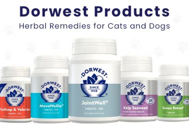 dorwest_products_herbal_remedies_joint_care_and_skin_care_for_cats_and_dogs