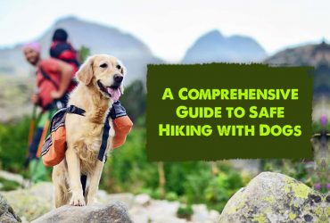 Hiking-With-Dogs