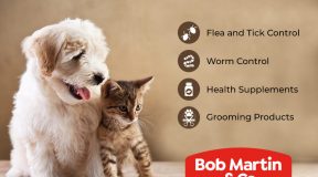 Bob-Martin-petcare
