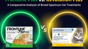 Frontline-plus-vs-Revolution-Plus
