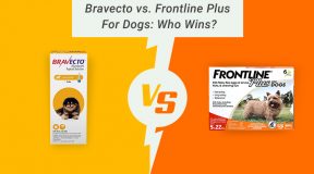 Bravecto-Plus-vs-Frontline-Plus-Comparison