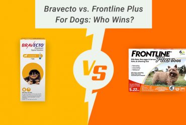 Bravecto-Plus-vs-Frontline-Plus-Comparison