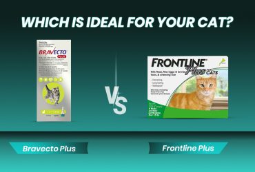 Bravecto Plus or Frontline Plus Which is Ideal for Your Cat