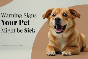 Warning Signs of Pet Sickness