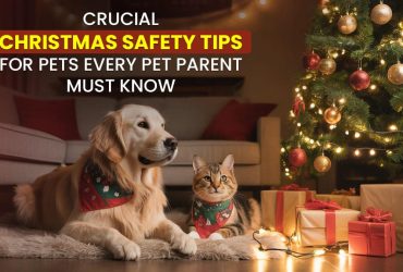 Crucial Christmas Safety Tips for Pets Every Pet Parent Must Know