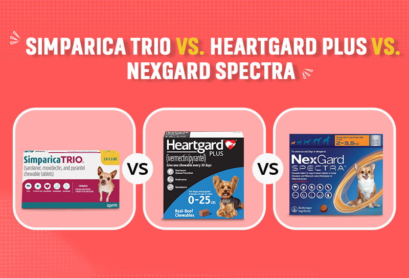 Simparica Trio vs. Heartgard Plus vs. Nexgard Spectra – Which One Should You Use?