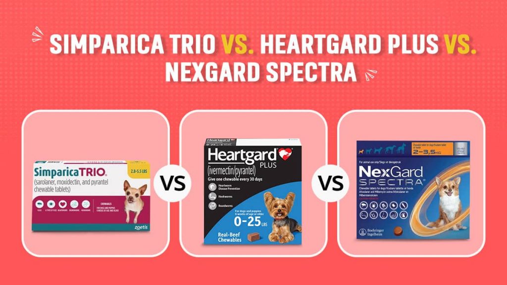 Simparica Trio vs Heartgard Plus vs NexGard Spectra Compared