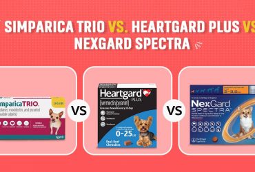 Simparica Trio vs Heartgard Plus vs NexGard Spectra Compared