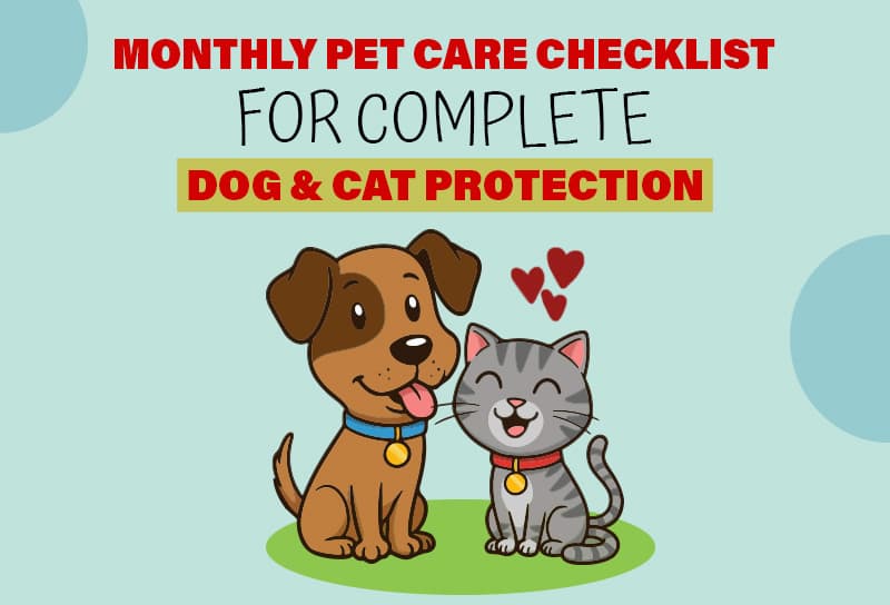 Monthly Pet Care Checklist for Complete Dog & Cat Protection