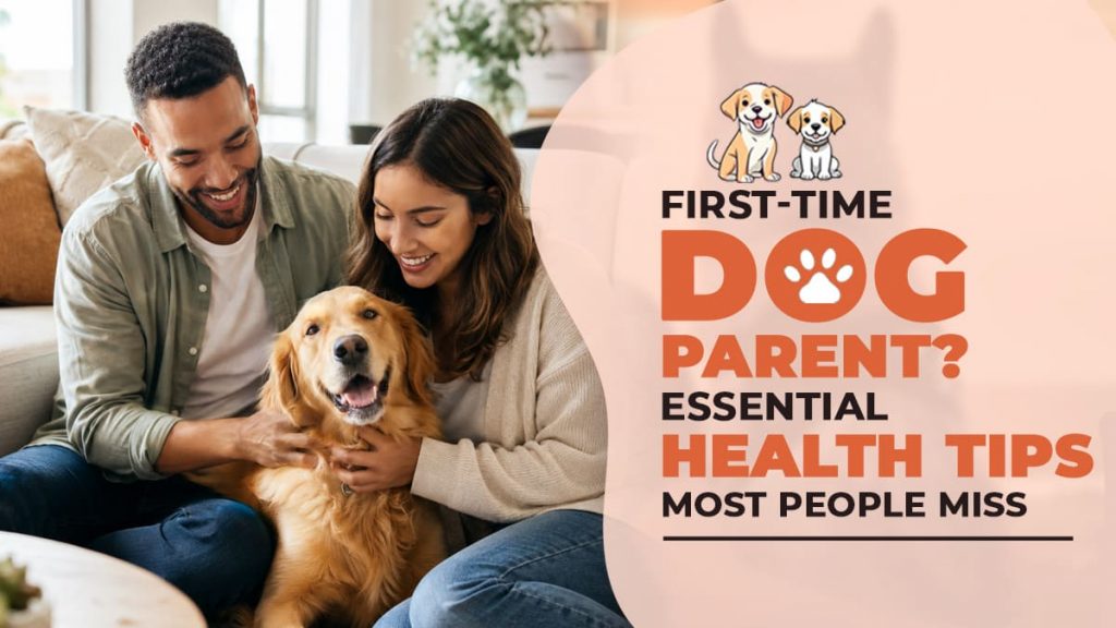 First-Time Dog Parent? 7 Essential Health Tips Most People Overlook