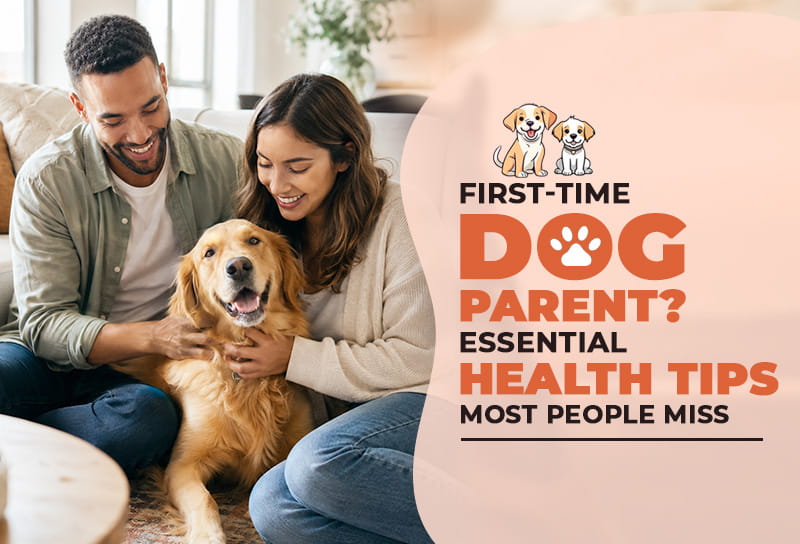 First-Time Dog Parent? Essential Health Tips Most People Miss