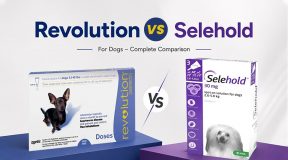 Revolution or Selehold for Dogs? Compare Coverage & Benefits