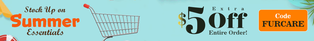 Offer Banner