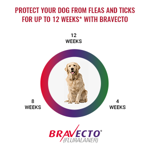Bravecto 12 Weeks Flea Tick Cycle